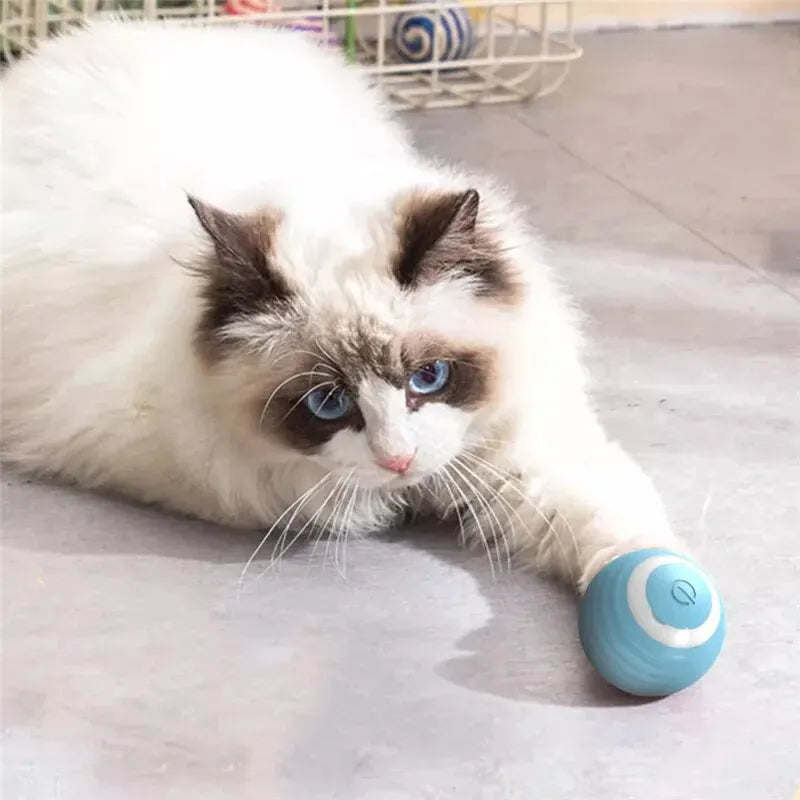 Magic Rolling Cat Ball