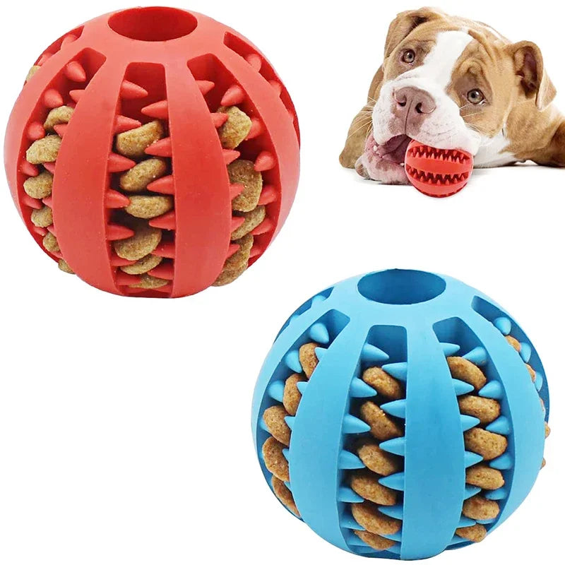 Interactive Chew Ball Toy