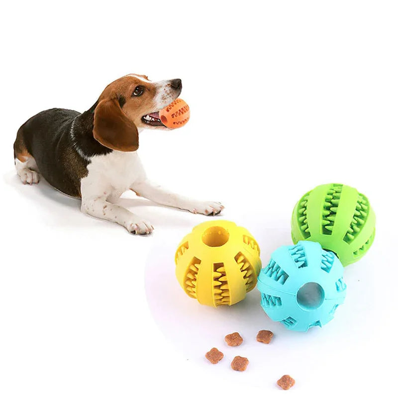 Interactive Chew Ball Toy